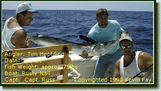 White Marlin photo