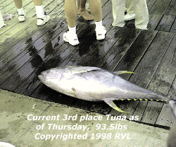 3rd place Tuna